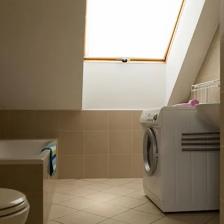 Synagogue View 게스트하우스 *